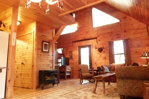 Télévision, cheminée, lecteur de DVD, livres