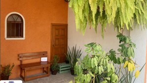Una panca di legno di fronte a un edificio con una porta, piante in vaso e un felce pendente.