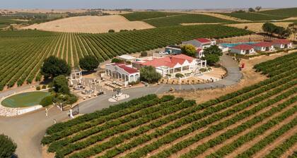 1837 Barossa Luxury Vineyard Cottage 3#, Lyndoch, South Australia