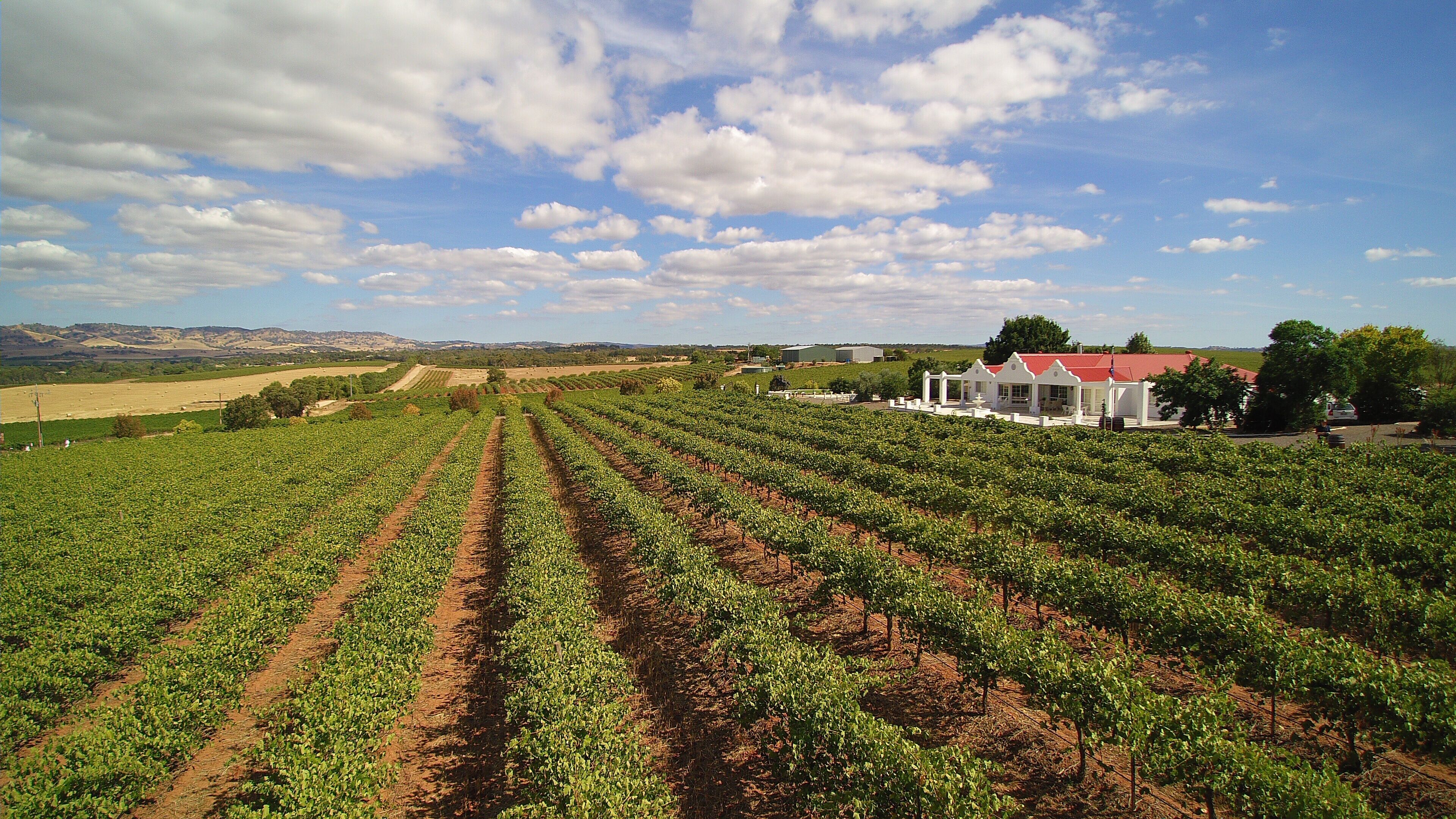 1837 Barossa Luxury Vineyard Cottage 3#, Lyndoch, South Australia
