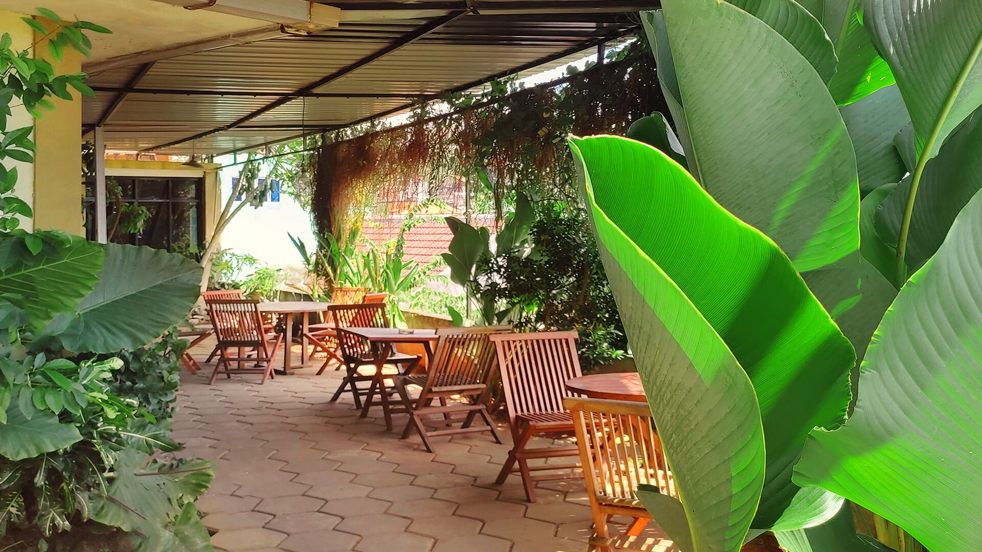 Un patio al aire libre con mesas y sillas de madera, rodeado de grandes plantas verdes y un muro de ladrillo.