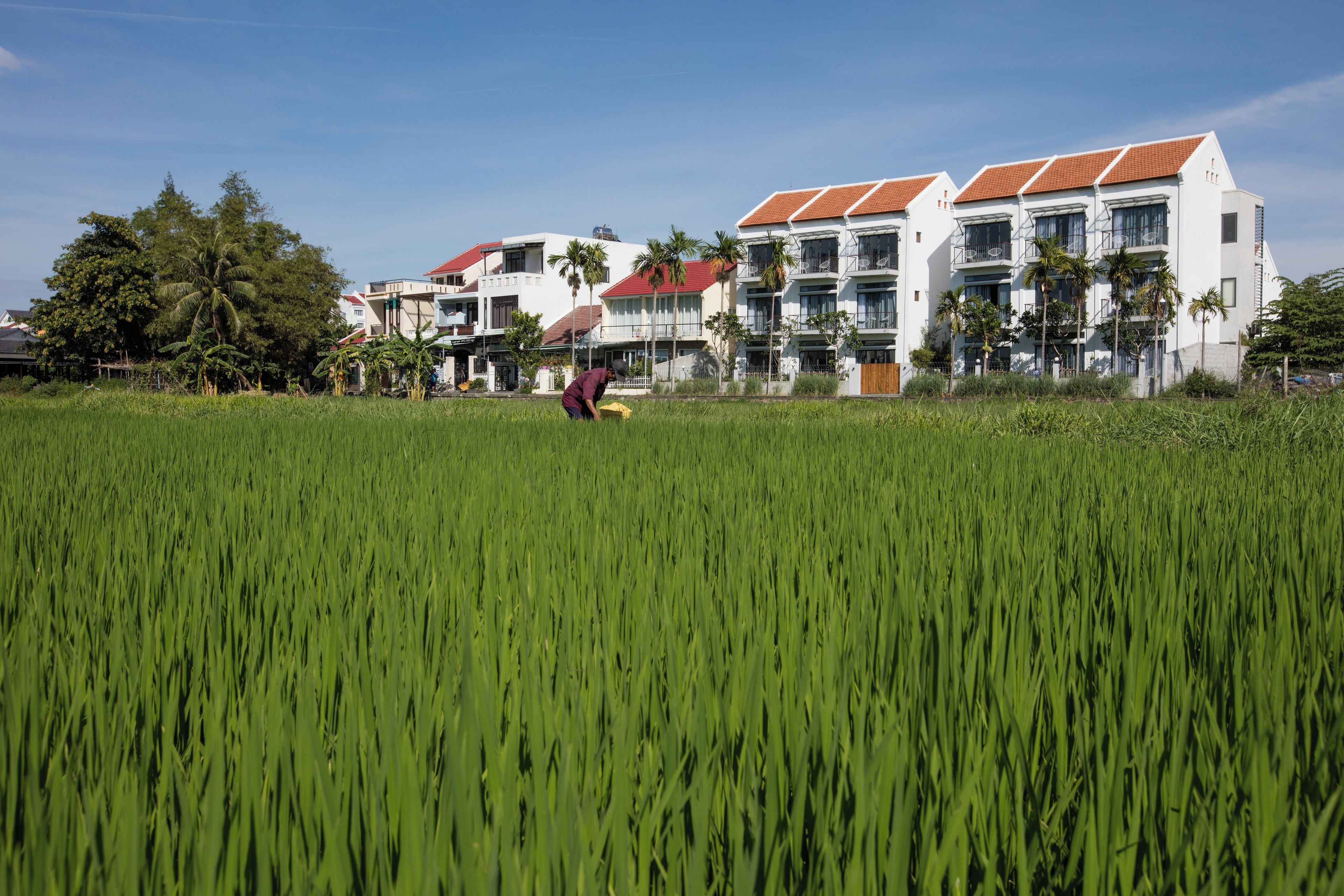 Área residencial com edifícios modernos, uma pessoa trabalhando no campo e céu claro.