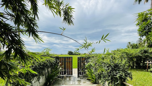 Un sentier mène à une construction surmontée d’un toit végétalisé, elle-même entourée d’une végétation luxuriante.