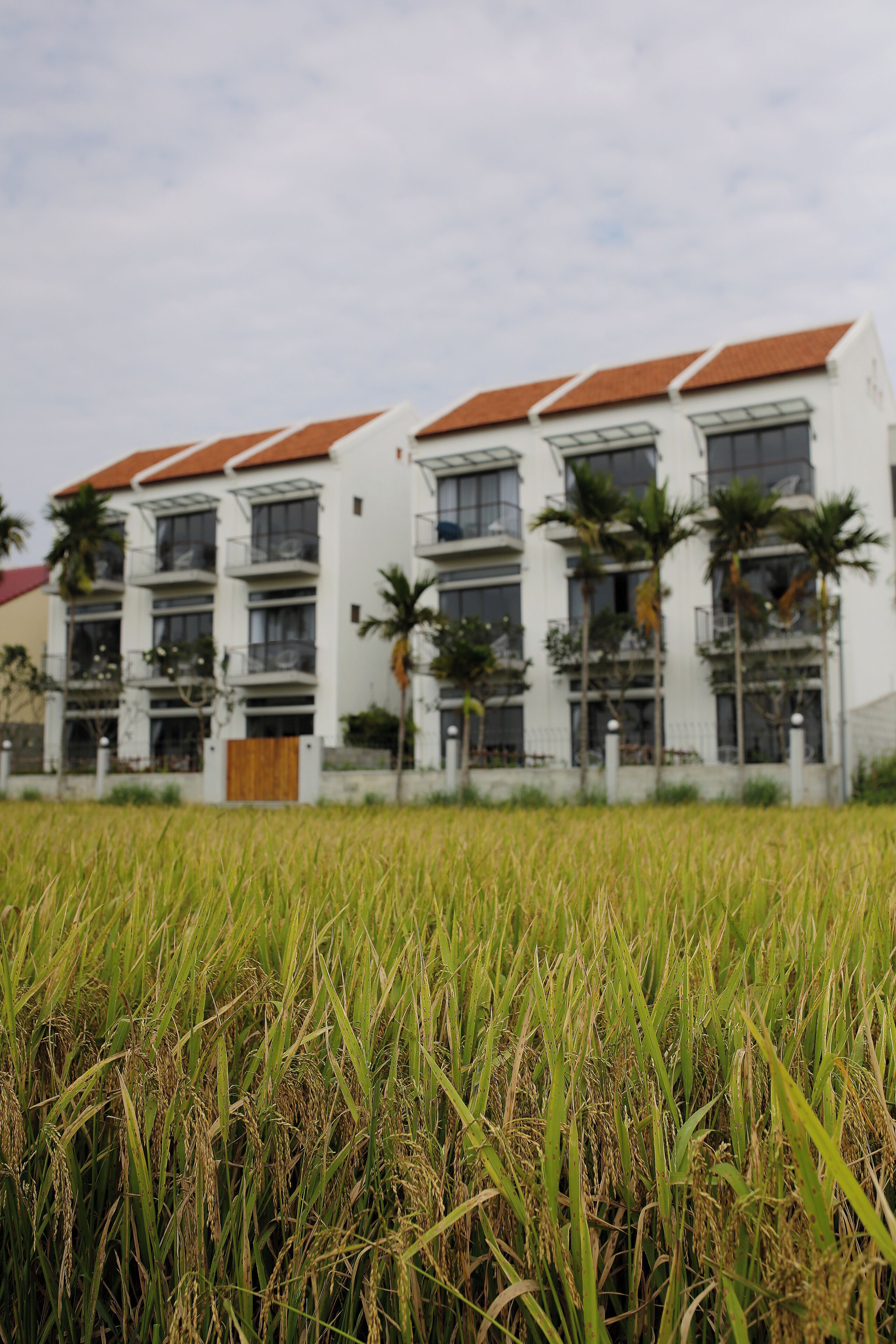 Foto - Hoian Tranquil Lodge - Chon Binh Yen