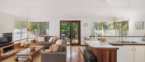 TV, DVD player, video library, stereo