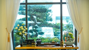 A room with a view of trees and a white van through a large window, a table with a vase of flowers, and a decorative item on the table. - Sandals Star Hotel (Duc Trong)