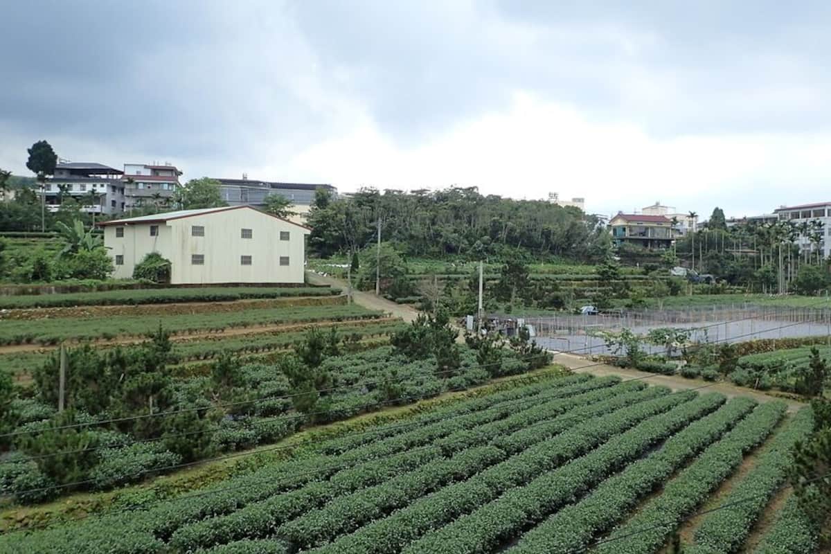 A rural landscape with agricultural fields, a white building, and residential houses in the background.