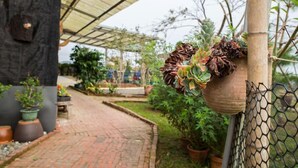 A garden pathway with potted plants and a bamboo structure. - Pu Su Bed and Breakfast (Lugu)