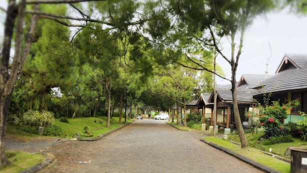 A tree-lined street with traditional wooden houses, a paved road, and a parked car. - VILLA ADE - 0620 KOTA BUNGA PUNCAK (Cipanas)