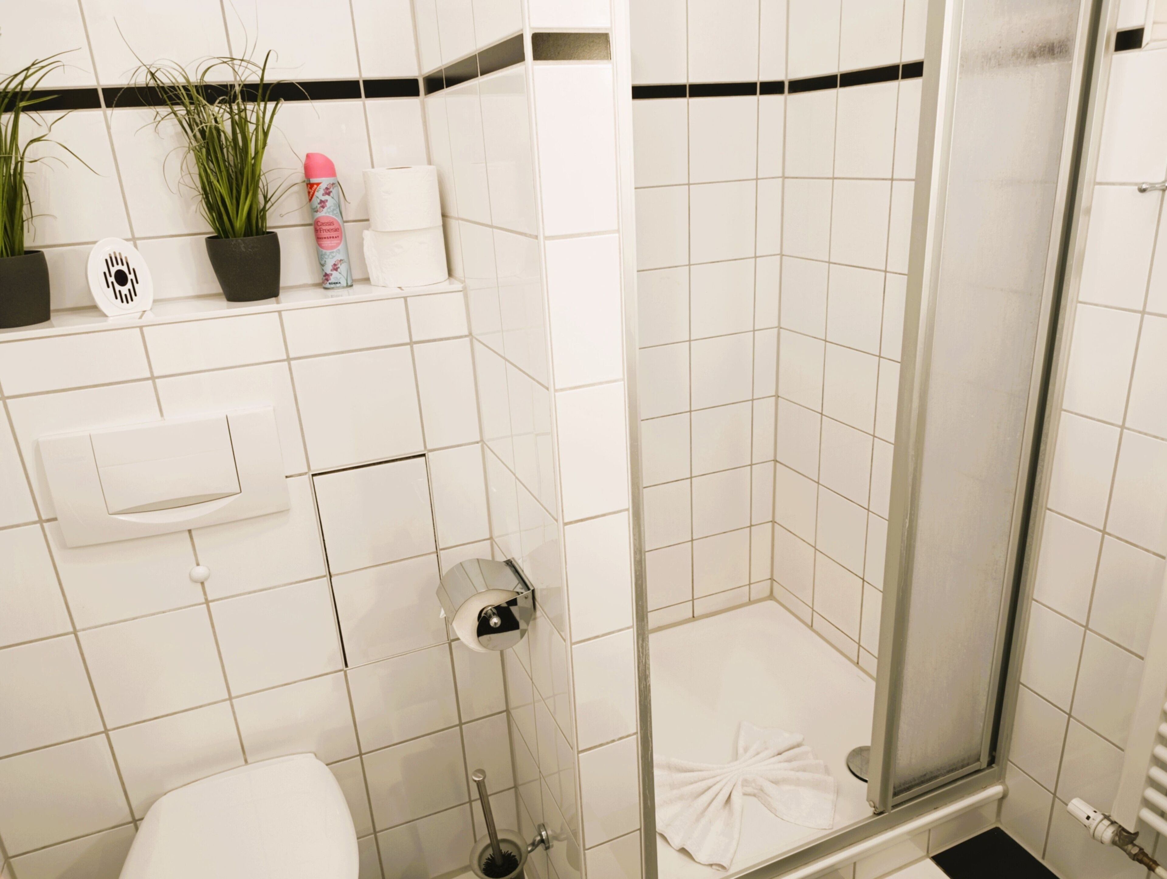 Dusche, Haartrockner, Handtücher, Seife