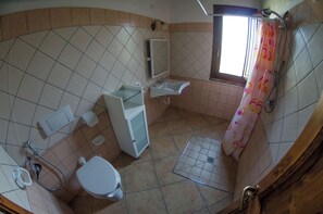 Chuveiro, secador de cabelo, toalhas de banho 
