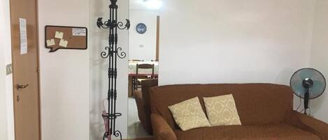 Télévision à écran plat, cheminée, livres