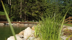 A serene park with a pond, surrounded by rocks and greenery. - Gartenhotel Daxer (Zell am See)