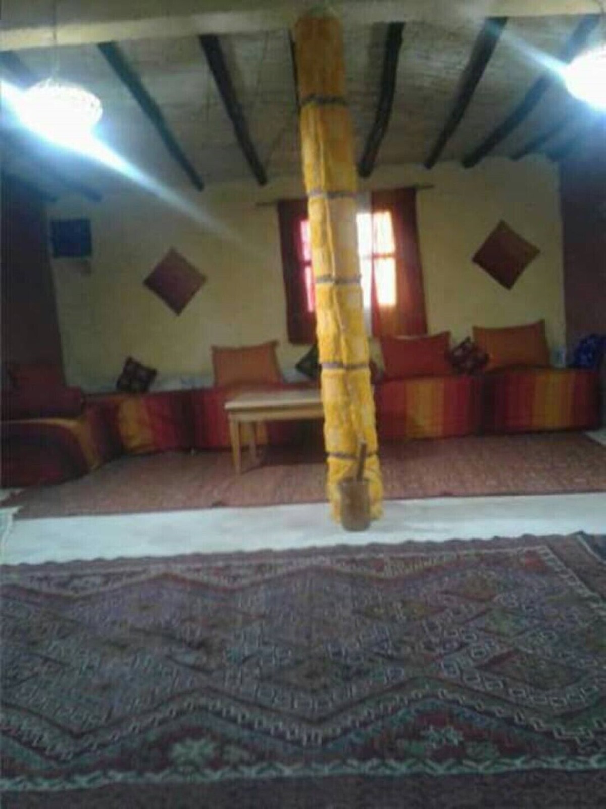 Image de profil de l’hôte