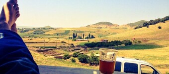 3 Houses 24 bedrooms