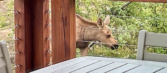 Now taking reservations for 2026-2027 season at
" The Cottage at Dry Creek" #1