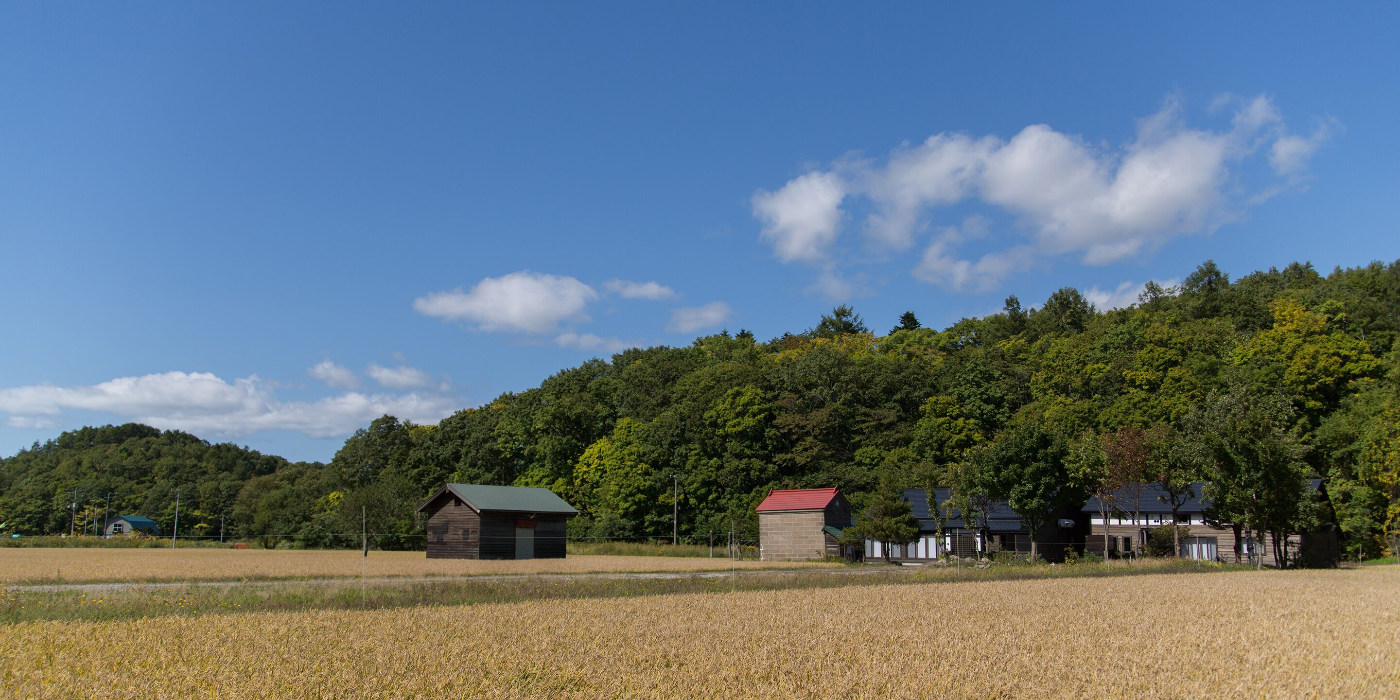 A rural landscape with a small wooden building, a field, and a forested hill in the background.