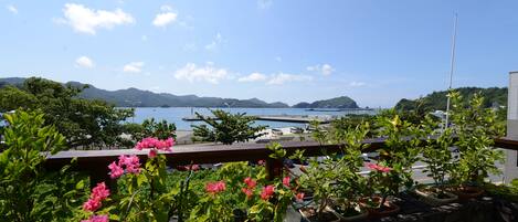 Ocean View Deluxe Room | Beach/ocean view