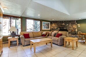 TV, fireplace, DVD player, books