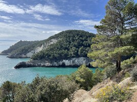 Un paisaje costero con un acantilado rocoso, abundante vegetación y mar turquesa.