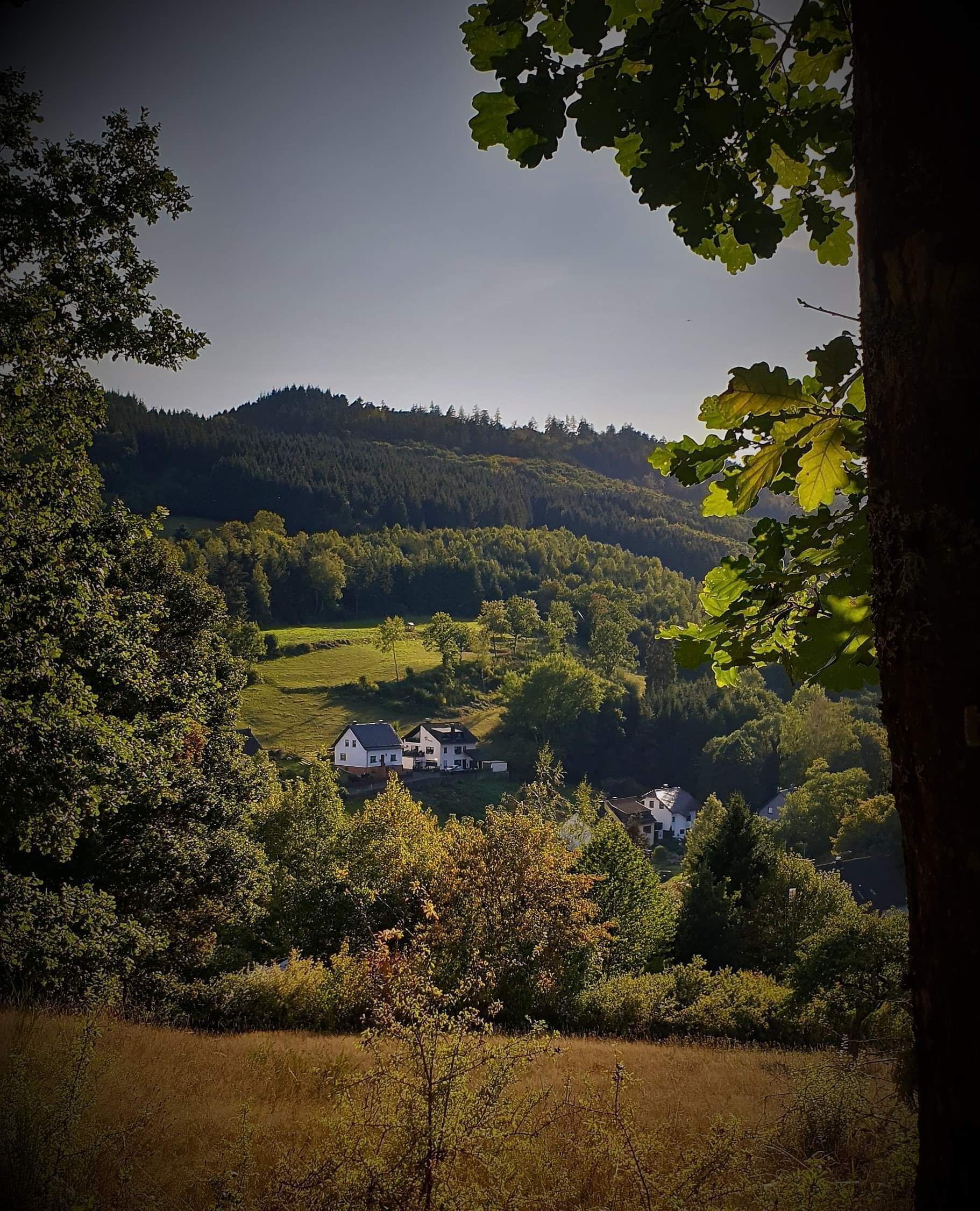 A rural landscape with a house surrounded by trees and hills.