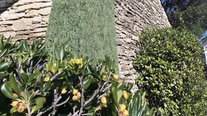 A tall, narrow tree in front of a stone building with a sloped roof. - Le Bastidon de l'Olivier (Gordes)