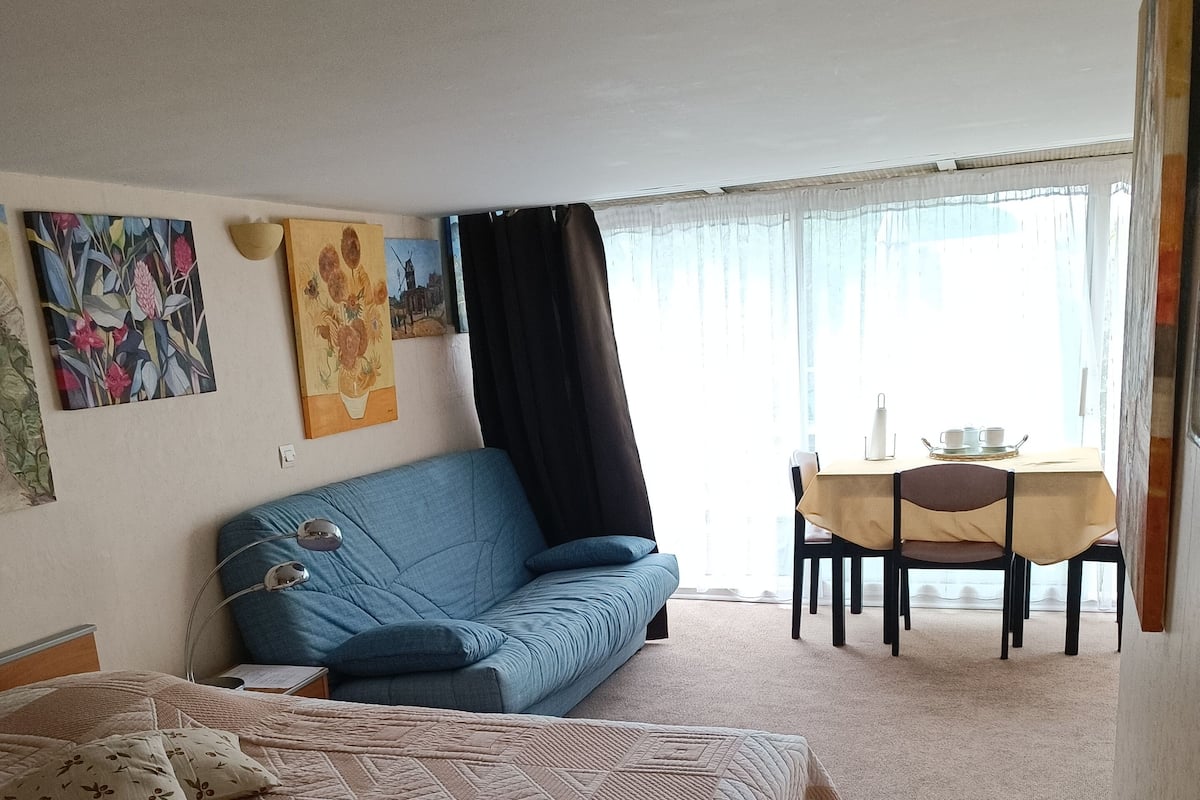 Studio | Laptop workspace, blackout drapes, soundproofing, iron/ironing board