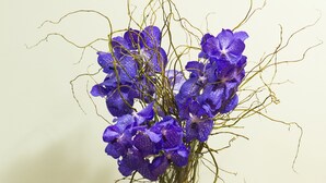 Un jarrón con flores moradas sobre una mesa de madera.