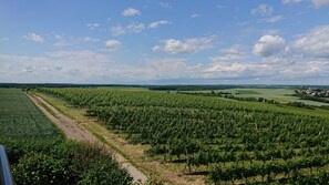 View from room - Weinbergshof Rickel (Kitzingen)