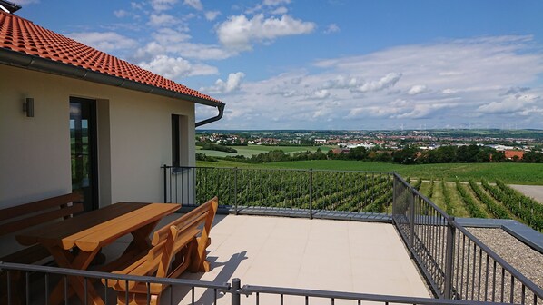 Apartment (Silvaner) | Terrace/patio - Weinbergshof Rickel (Kitzingen)