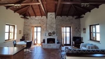 TV, fireplace, books