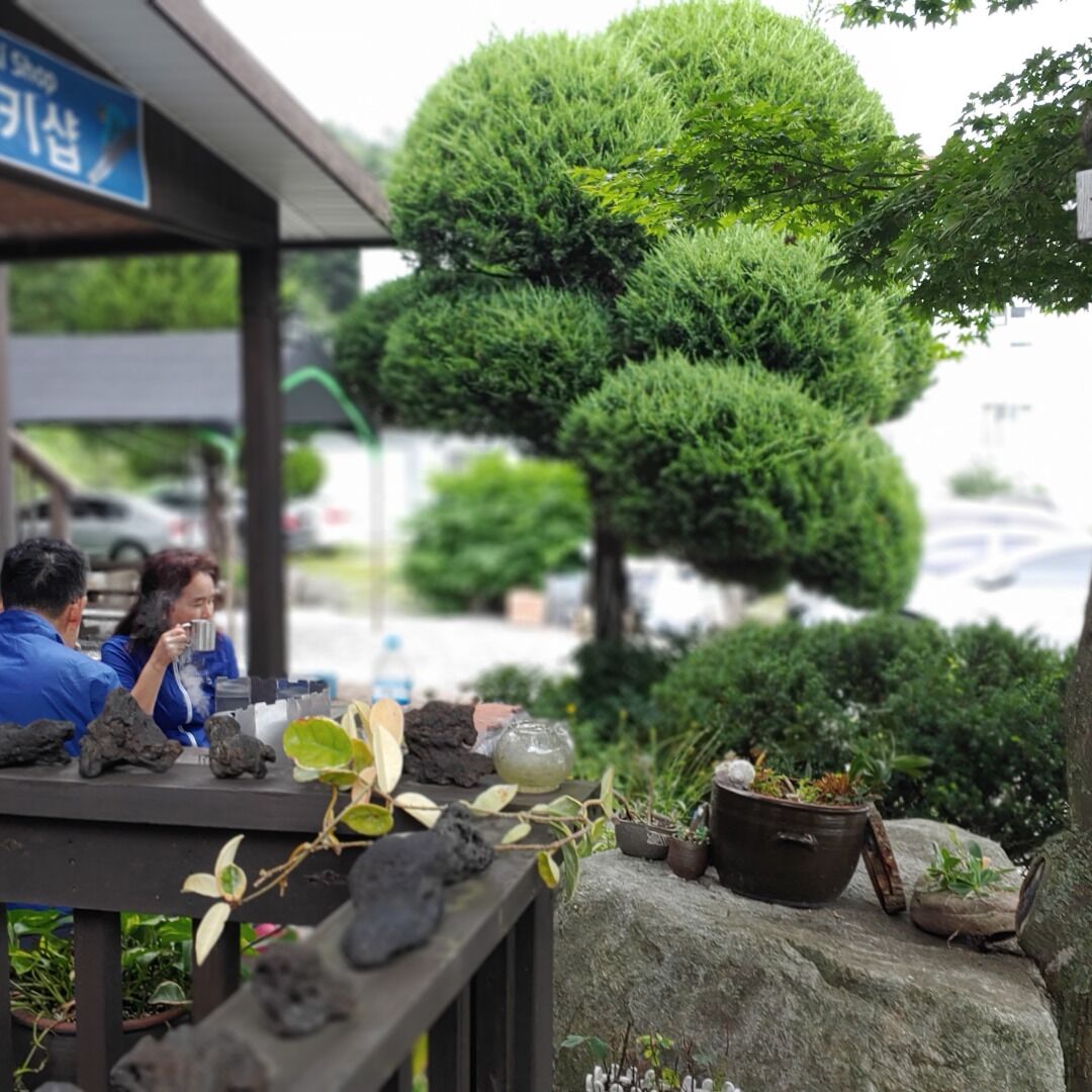 A small outdoor seating area with a table displaying various plants and a sign above.
