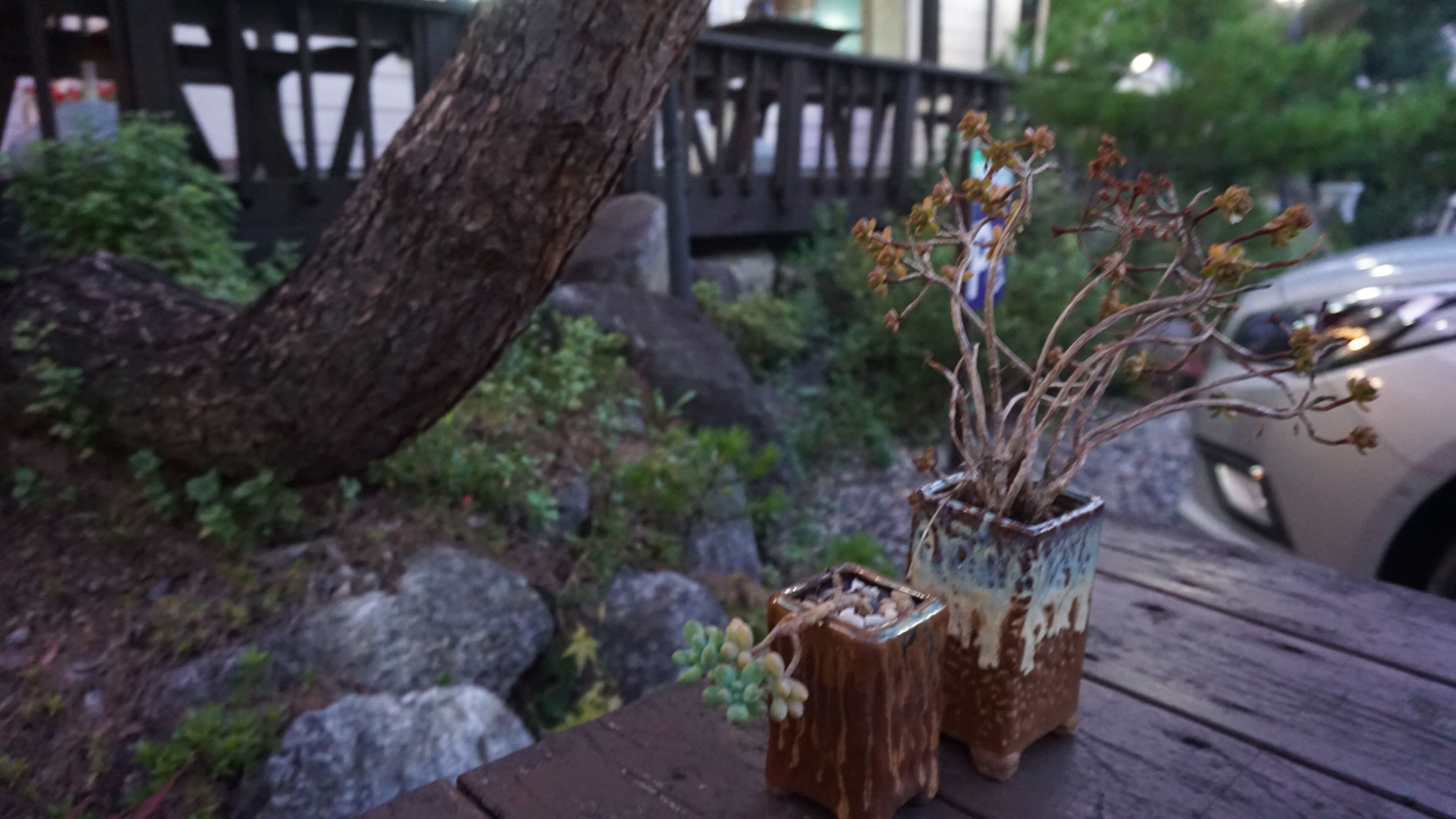 Una mesa de madera con dos jarrones de cerámica que contienen ramas secas y pequeñas plantas.