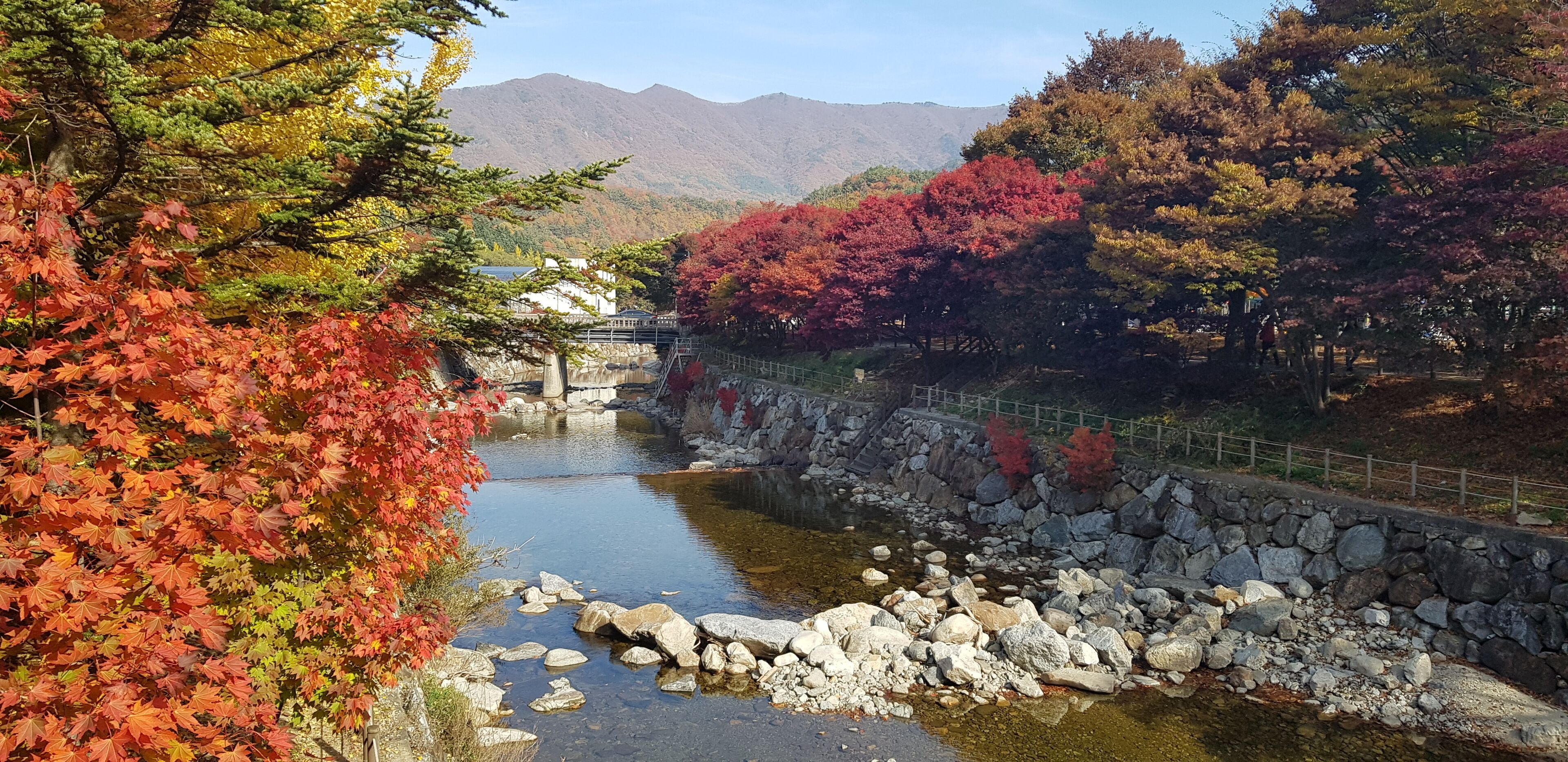 A serene riverside scene with autumn foliage, a stone bridge, and a mountain backdrop.