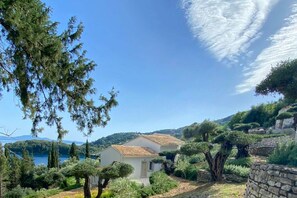 Luokittelematon kuva, 5 kautta 48, painike