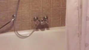 A bathroom with a shower, a bathtub, and a toilet. - Gasthof Stern (Vandans)