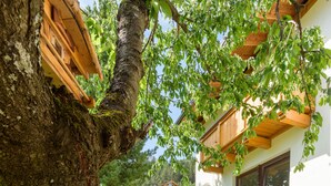 Un sentier bordé d’arbres mène à une maison dotée d’un escalier en pierre et d’un petit jardin fleuri.