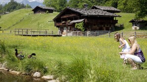 Uklassifisert bilde, 3 av 59, knapp