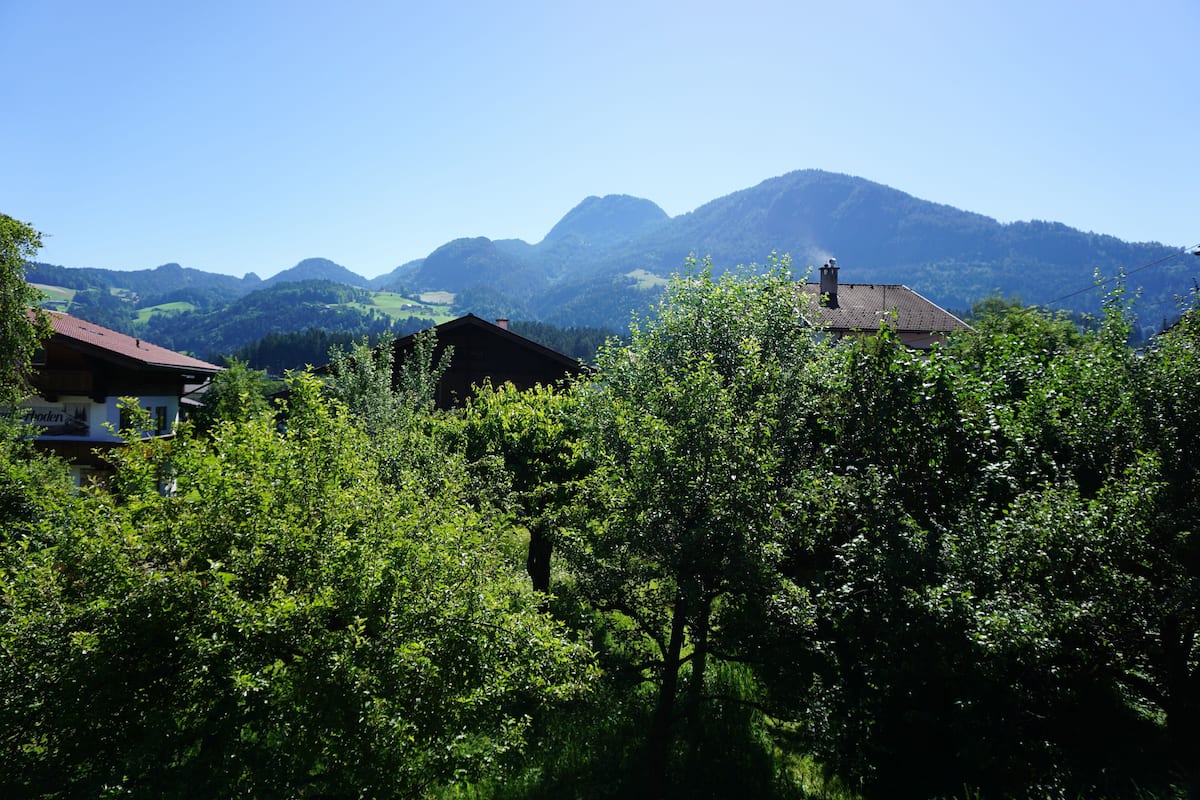 A mountainous landscape with houses partially obscured by lush greenery.