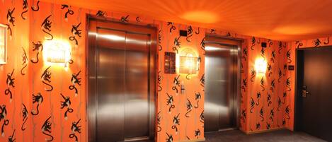 Two elevators with a distinctive orange wall featuring a pattern of black cats.