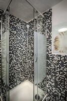 Shower, hair dryer, towels, toilet paper