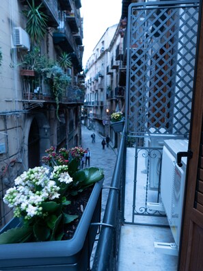 Balcony view - San Francesco Rooms L.T. (Palermo)