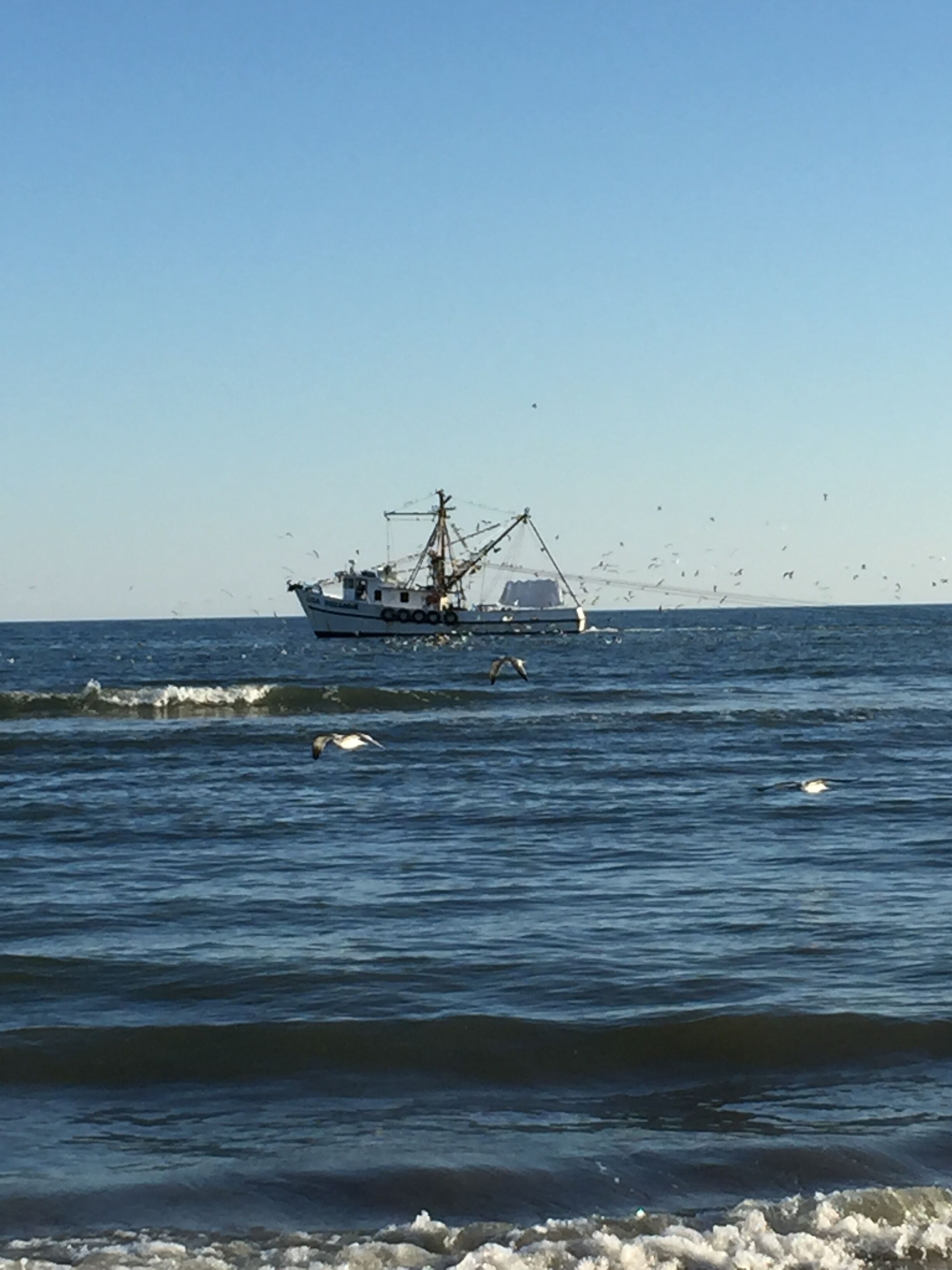 Strand
