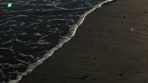 Nær stranden