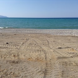 On the beach