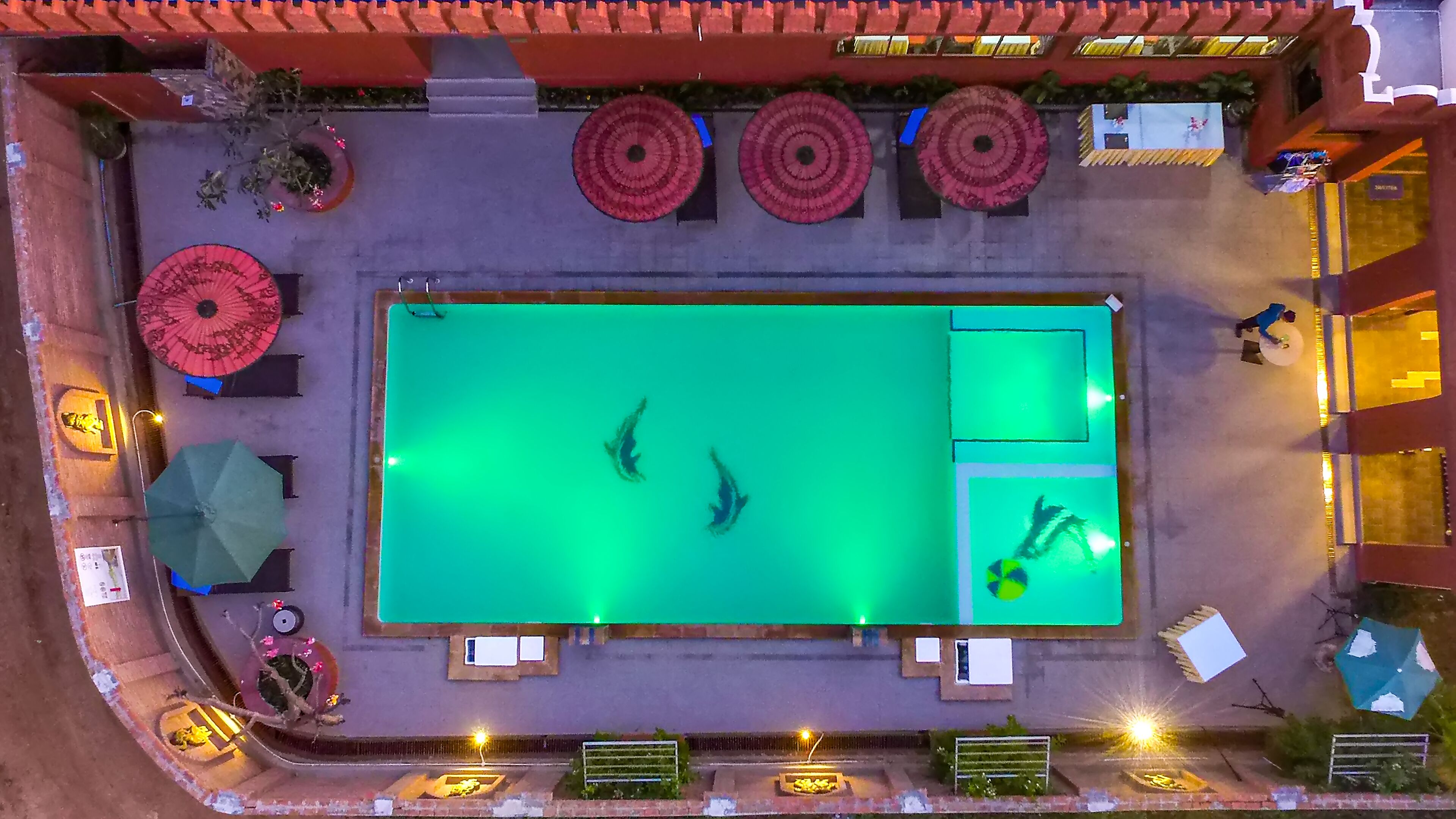 Una piscina exterior con dos delfines, rodeada de sombrillas rojas, bancos y plantas en macetas.