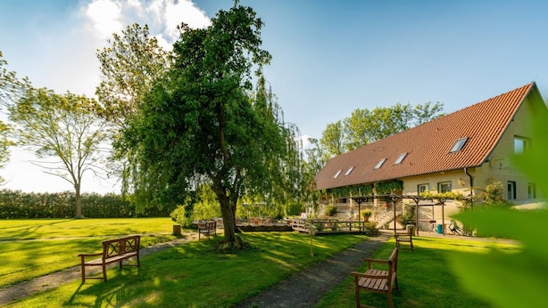 Ein Haus mit rotem Dach, ein großer Baum im Vorgarten und ein gepflasterter Weg zum Eingang.
