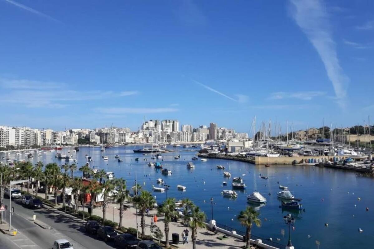 A marina with boats, a city skyline, and palm trees along the waterfront.