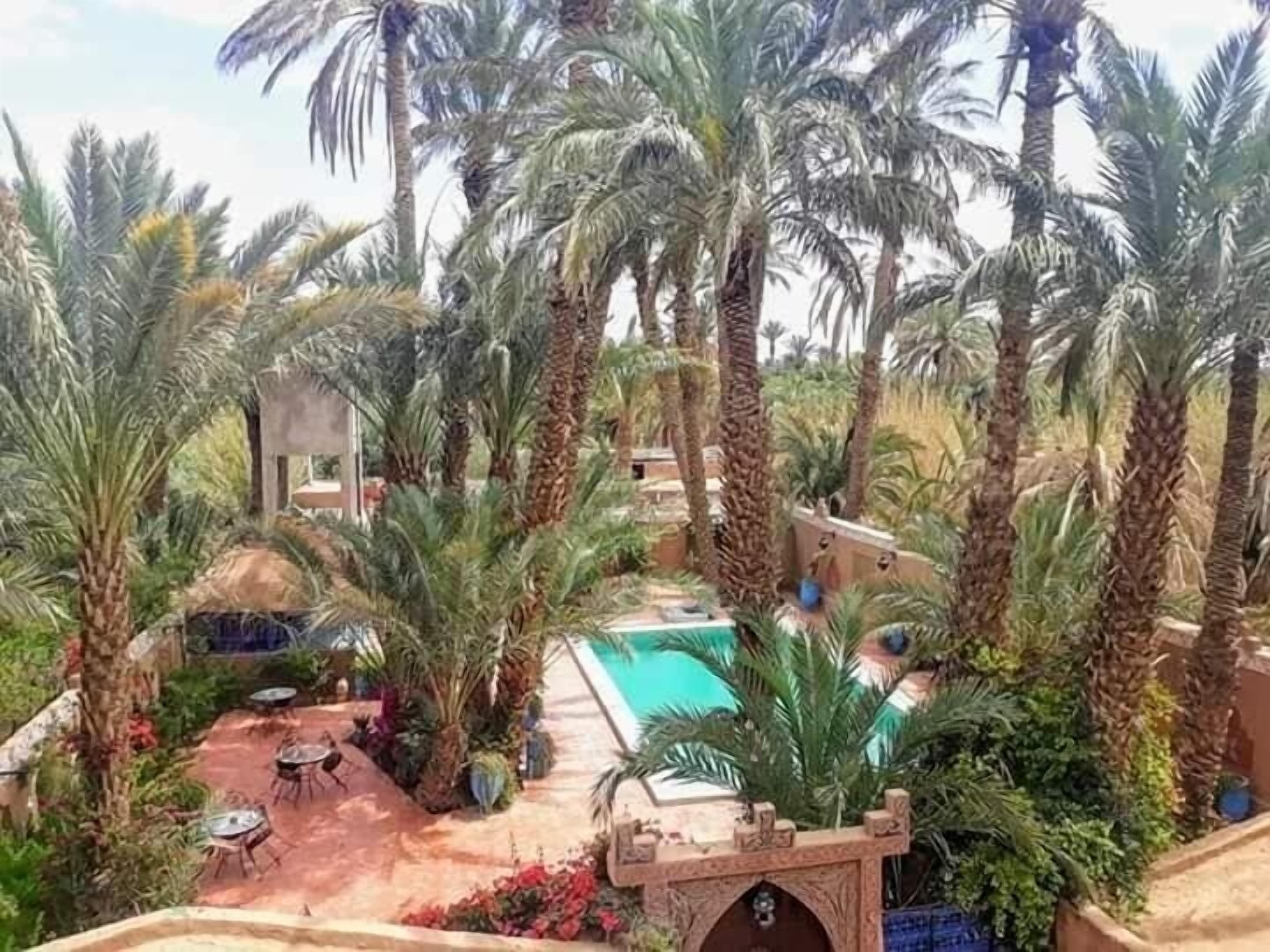 Zona de piscina rodeada de palmeras y un arco de piedra.