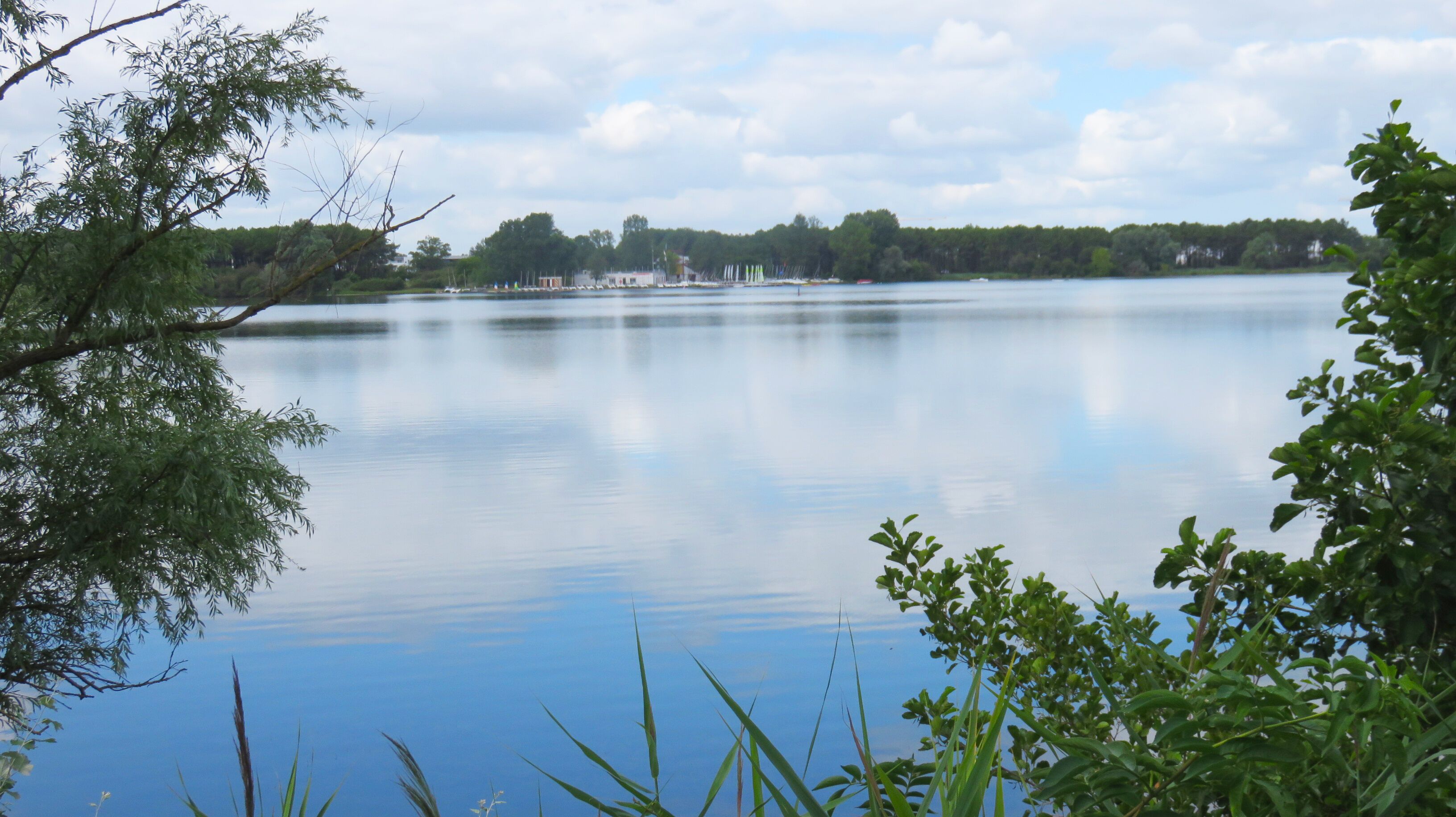 Un lac paisible, avec un quai et des bateaux, entouré d’arbres et sous un ciel dégagé.